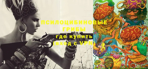 а пвп мука Алзамай