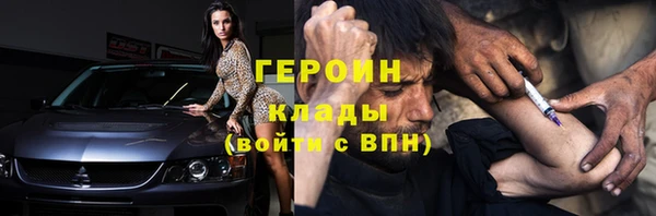 шишки Лабытнанги