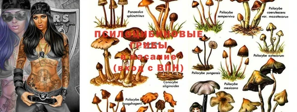 ешки Алексин