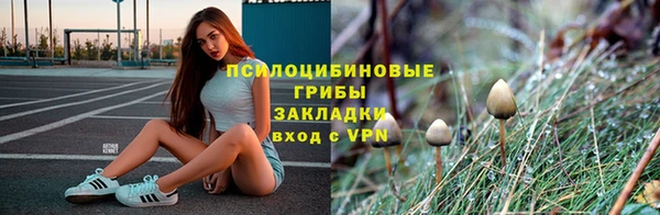 первитин Алексеевка