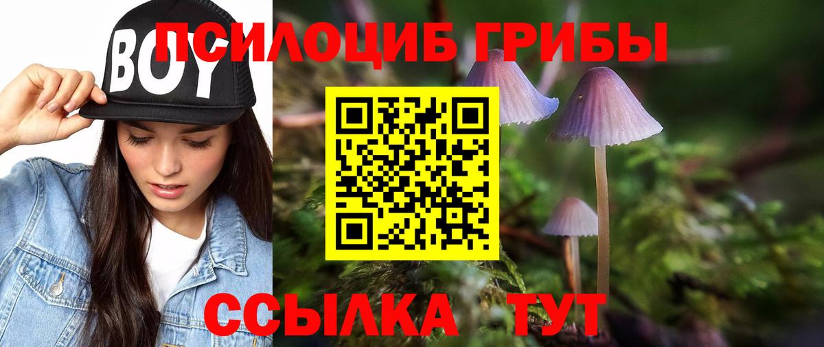 Лобня  Псилоцибиновые грибы Psilocybine cubensis  Вход с VPN  наркота  Галлюциногенные грибы Magic Shrooms 